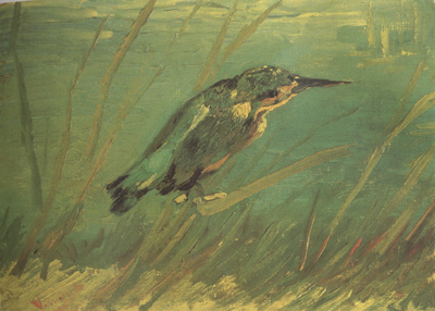 The Kingfishe (nn04)